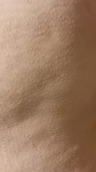 Ass Here