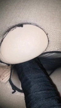 Big Black Cock in Black Pussy