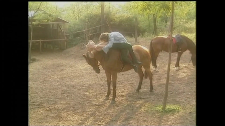 FM Video VOD: 热精子