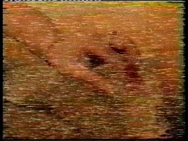 Radical: Fińska cycata blondynka - klasyczne porno