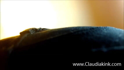 Claudia Kink: Claudia, femdom : test de ma nouvelle place en POV