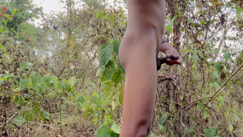 LonlyBoy: 独奏德西男孩在丛林中享受