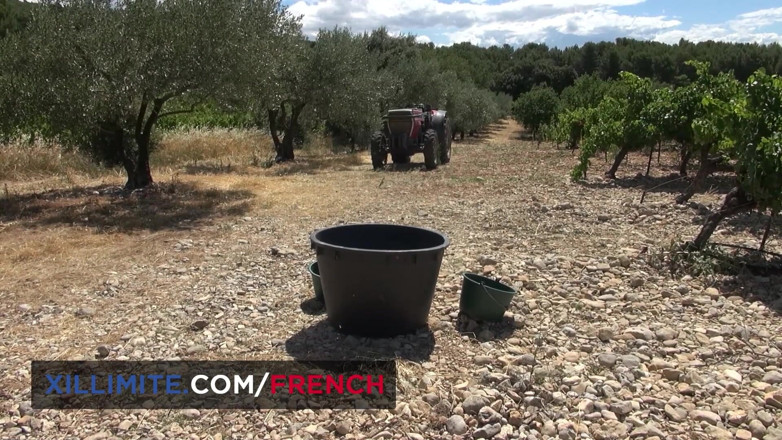 French girls at work: Anální sex na vinicích s prsatou Rose Valérie