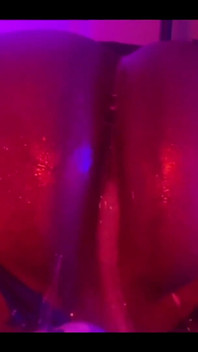 Fall/halloween Bundle