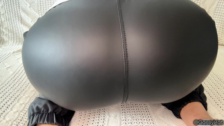 GassyKat: Pelle viso scoregge punto di vista: culo in faccia