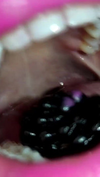 Mouth Tour