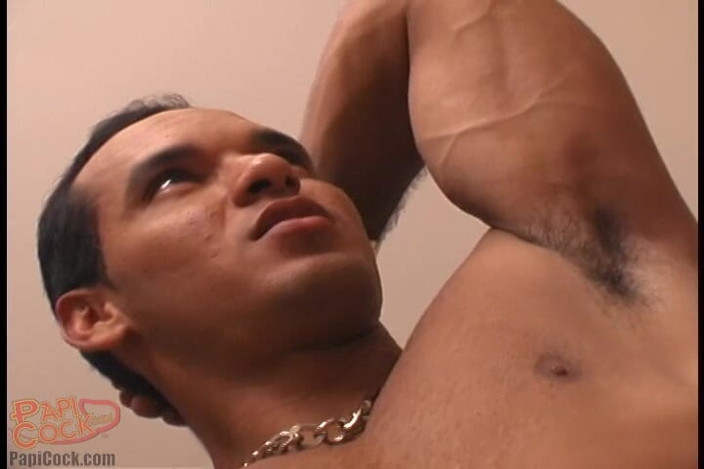 Papi Cock: Marques