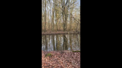 Naomi Gets Nasty on Her Walk in the Woods