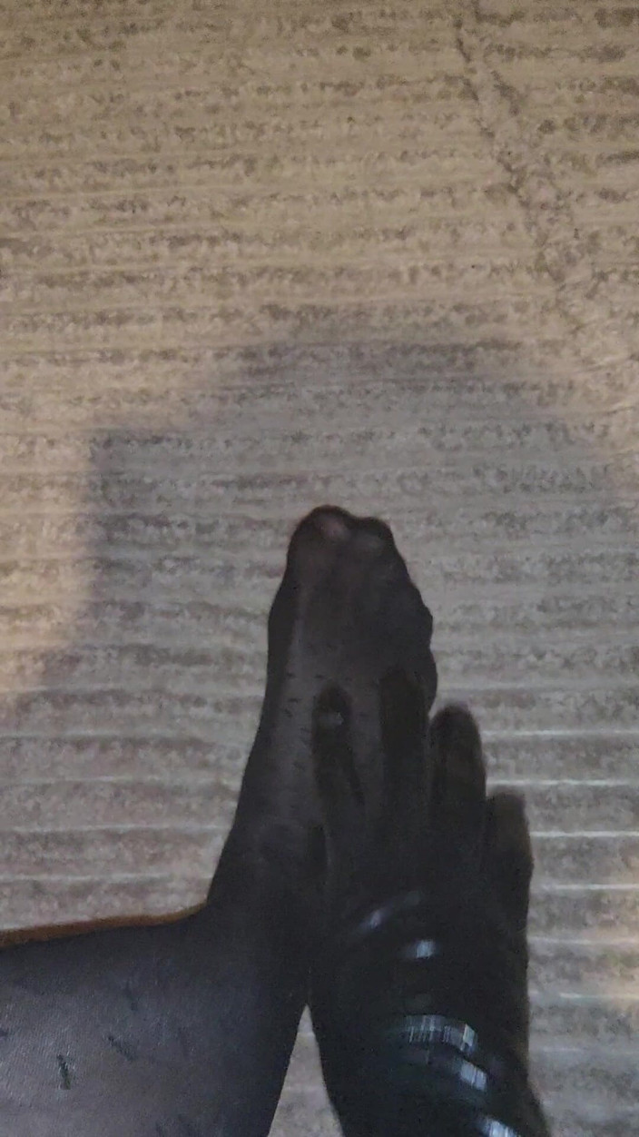 LoverPantyhose: Provocando minha meia-calça preta padrão
