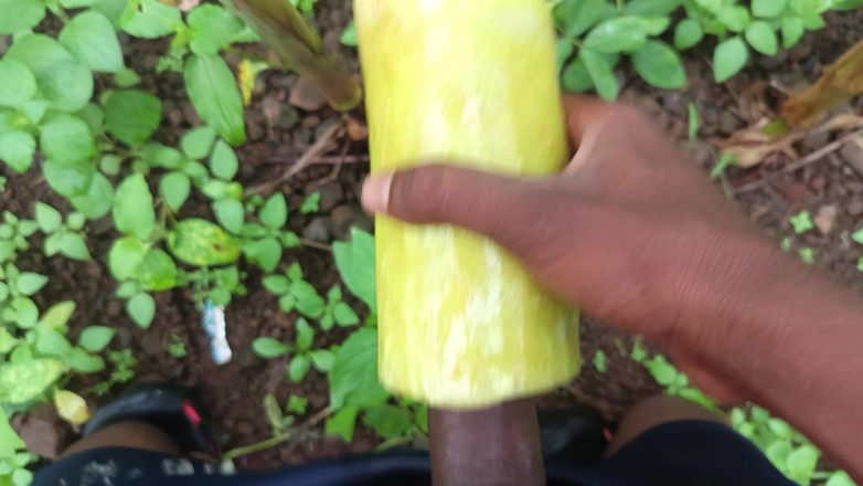 Leaving desi bhabhi: Desi Kala Land Chut Ka Bhukha