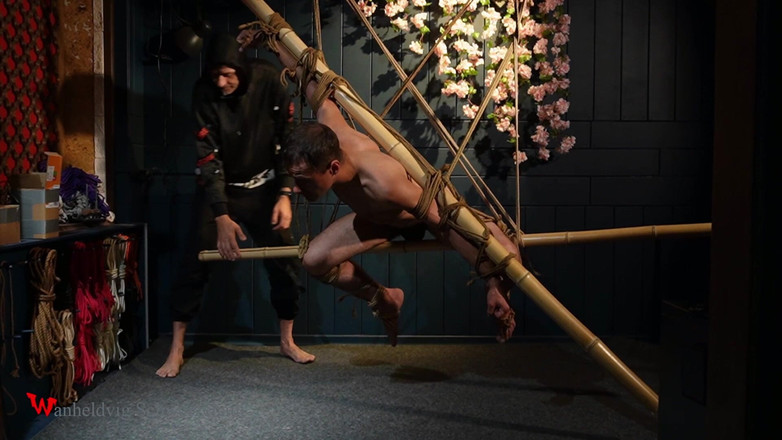 Wanheldvig: Güzel Zeus Jüt İplerle Bağlanmış, Shibari Zrafeti Güçsüz Pozisyonda Gerilim