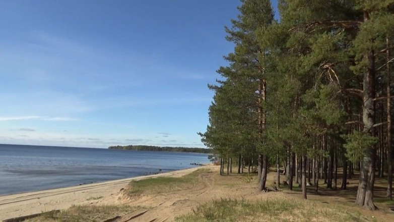 RedRoseRus: Сітчаста панчоха для тіла