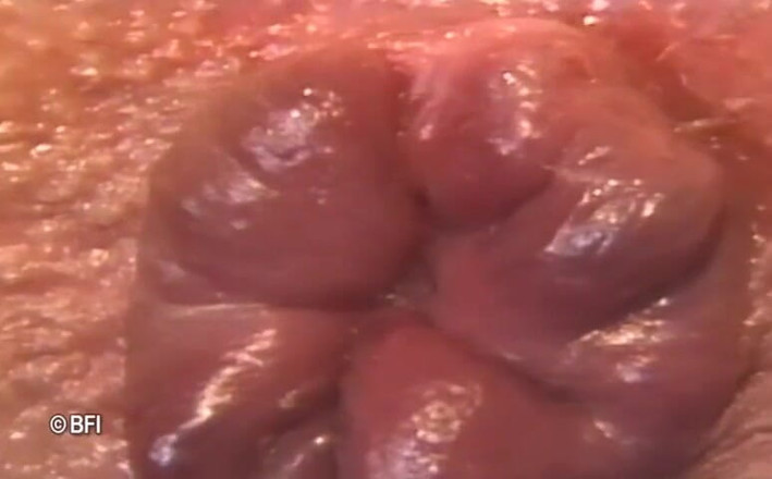 Pissing Girls: Pregnant fisted hard in vintage fuck