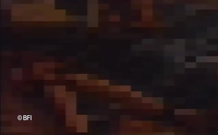 Bad Boys bedroom stories: Free bee - 3 cenas em 1