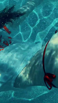 Join Me in the Pool, on My Mv Crush