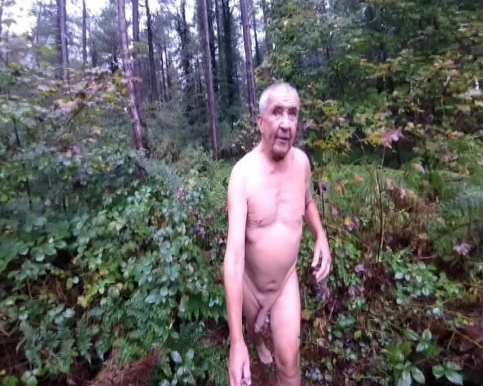 Andy: 雨と濡れた森