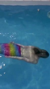 Zajatá mermaid tě škádlí v bazénu