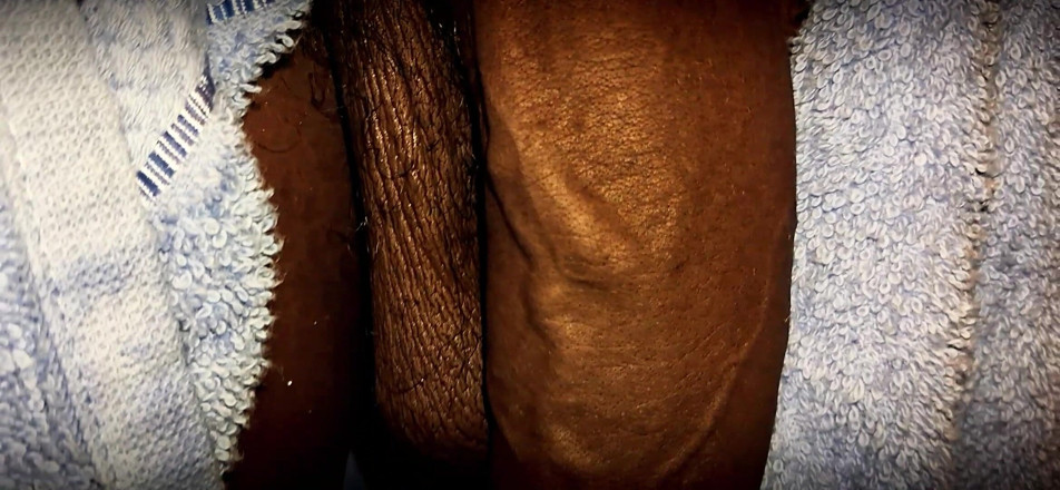 Chocolate Meat Stick: Morbido non tagliato grande nero rallentatore primo piano