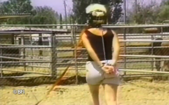 House of lords and mistresses in the spanking zone: Pet girls training