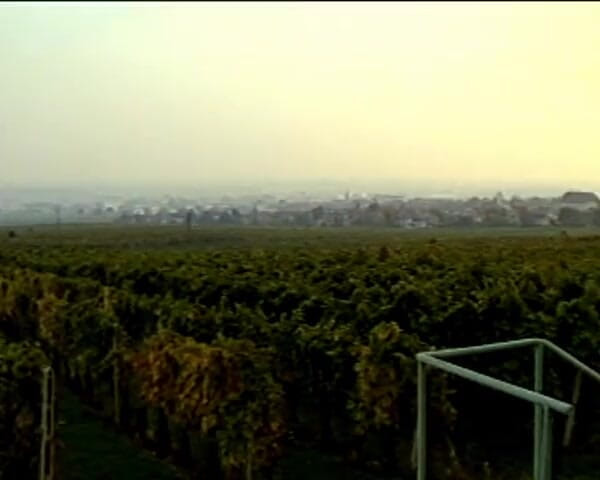 GERMAN PORN CLASSICS: Vieneses Embers Parte 2