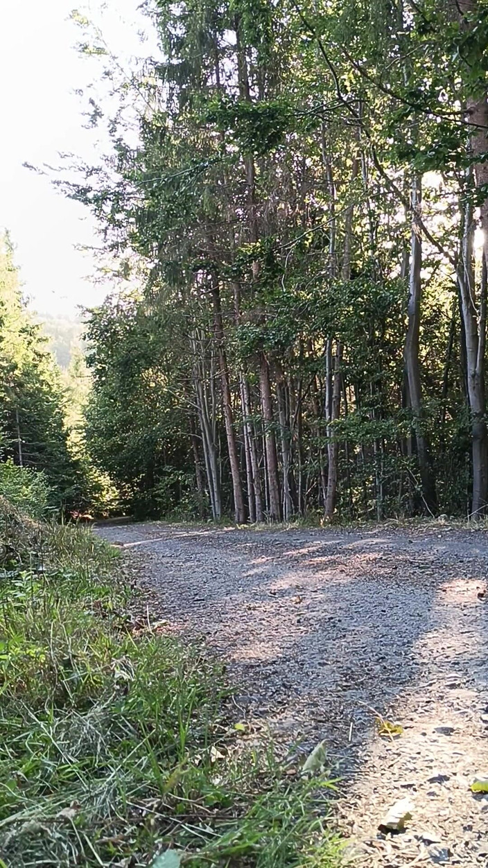 kickerscooter: Scooter Rider Venkovní masturbace