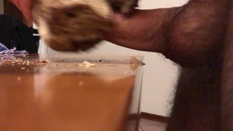 Francesco Spinozzi: loaf of bread fucked