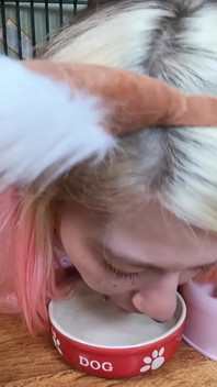 Cute Pet Girl Drink From Her Bowl