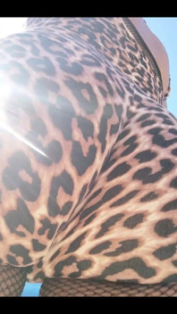 Cheetah Girl Today