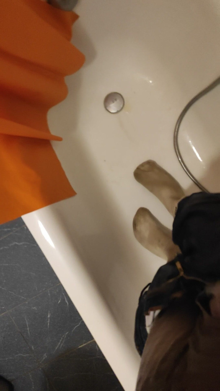 SmokedAlloy2: 더러운 돼지 망치, 오줌 싸기, 양말 화장실