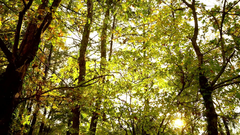 InannaJustice: Chasse aux rennes en vacances