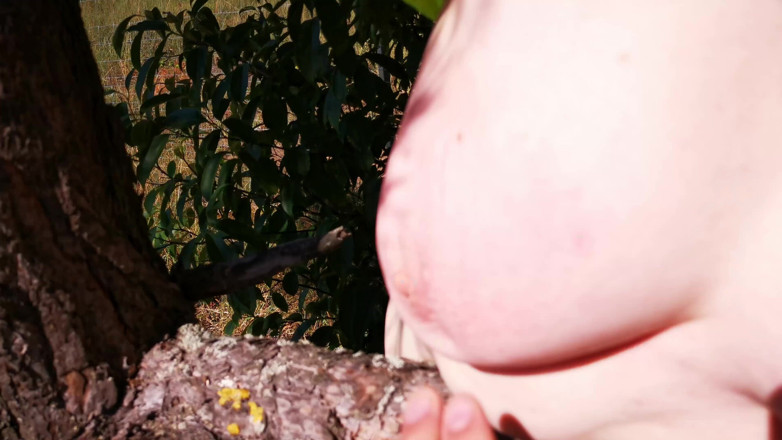 Bouncy Tits Action: Tamparan musim panas