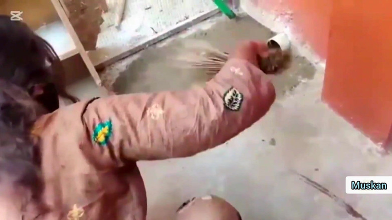 Muskan Rani: Pakistaanse vrouw virale erotische video