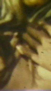 Troie si masturbano da sole - film di restyling in full HD