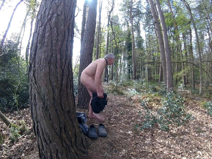 Andy: Прогулка 19 2025