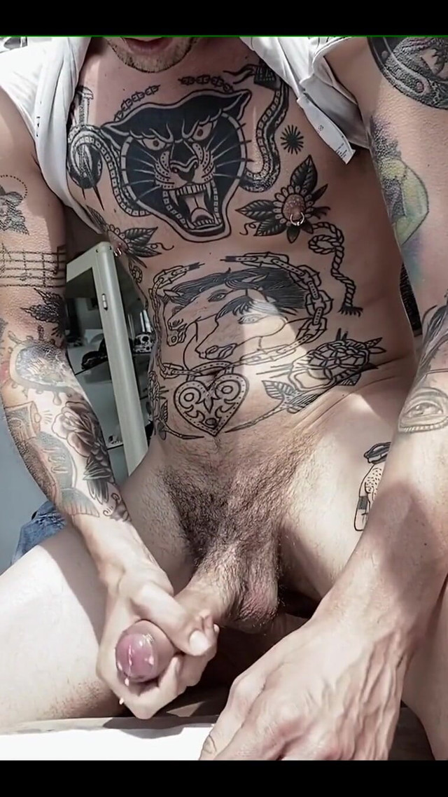 3246823 (Stallion papi)