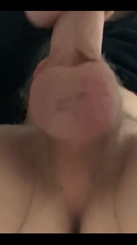 White Cock