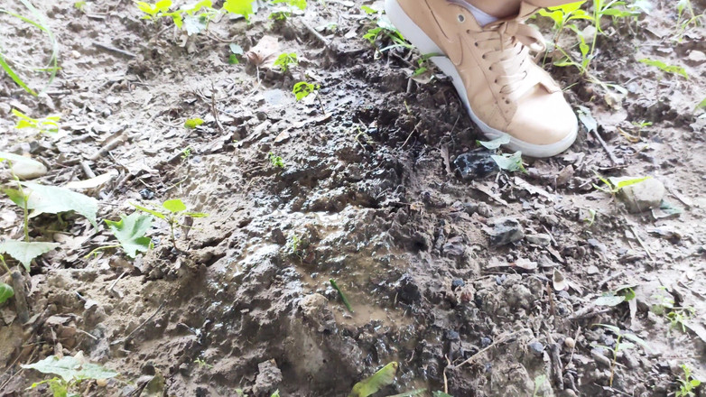 Adele Amber: Hujan dalam alam semula jadi