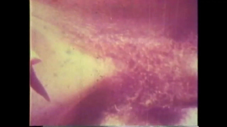 Vintage Usa: Carcerati Con La Palla Al Piede