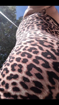 I Was a Cheetah Girl Today. I Had a Good Route in the Burbs and Was Cool with My Cheeta Print