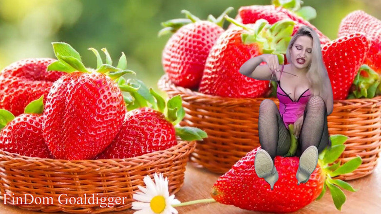 FinDom Goaldigger: Mijn visnetten maken je homo!