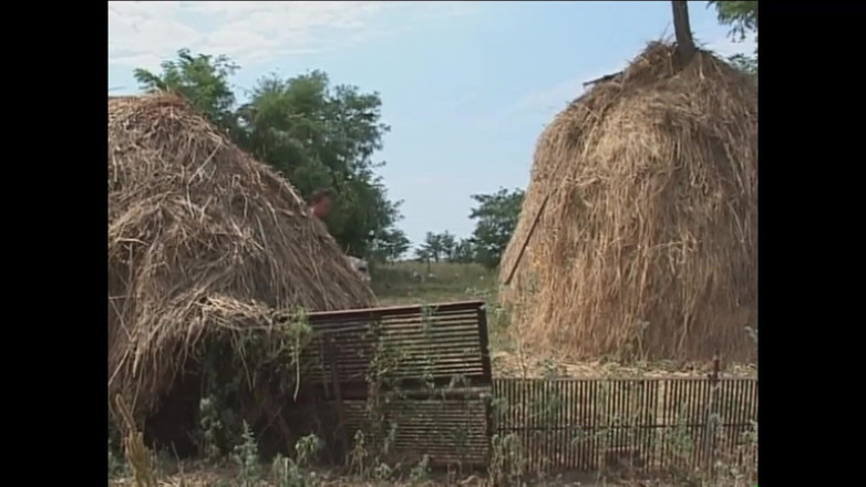 PURZEL TV - our best full movie: Agata Mach Die Beine Breit!