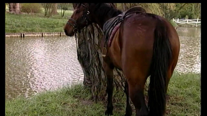 MMV Films and Clips XXX: 백키 자키치