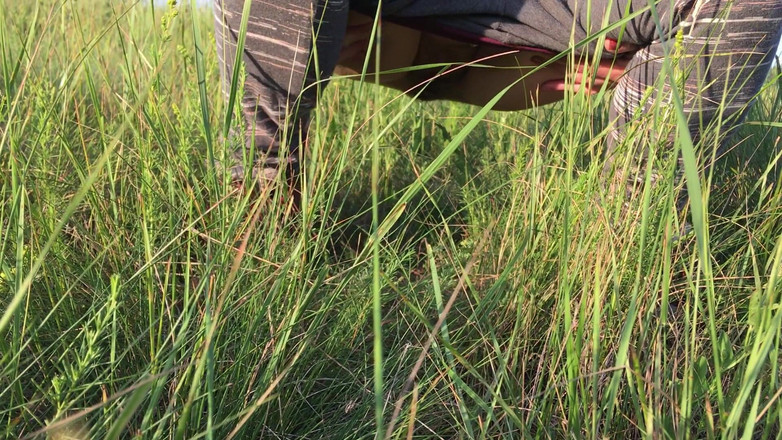 Risky Hairy Couple: Sika w trawę na łące