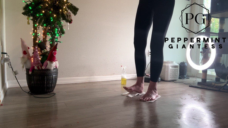 Peppermint Giantess: Fruit Crush Aftermath: Cleaning up the Juicy Floor Mess