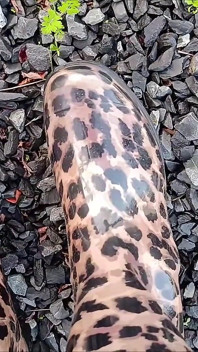 Plimbare lungă în Gumboots de Kinkylyrical
