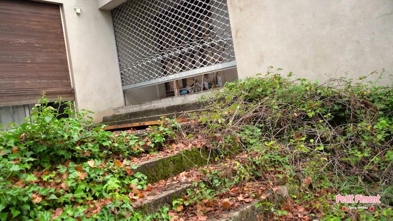 Petitpiment: Unser Erster Vlog Des Sommers