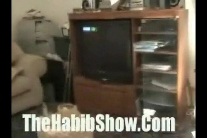 The Habib Show: Dloc, plešatá matici šukání phat booty gang bang celé video