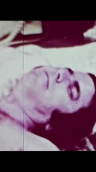 ビンテージポルノレトロエロティックシアター-野生のセックス6