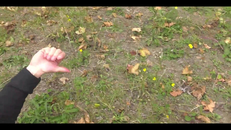 HPG Production: Brunetă, țâțe naturale, suge pula în fața casei ei, partea 2