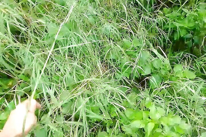 Gangbang straight: Я увидел женщину, убежал, мастурбировал и помочился.